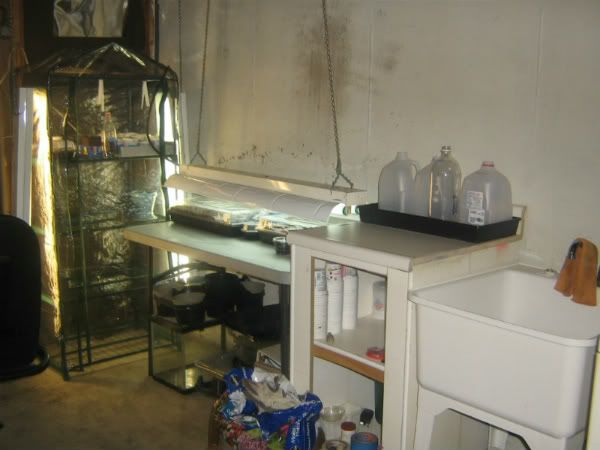 basement planting area