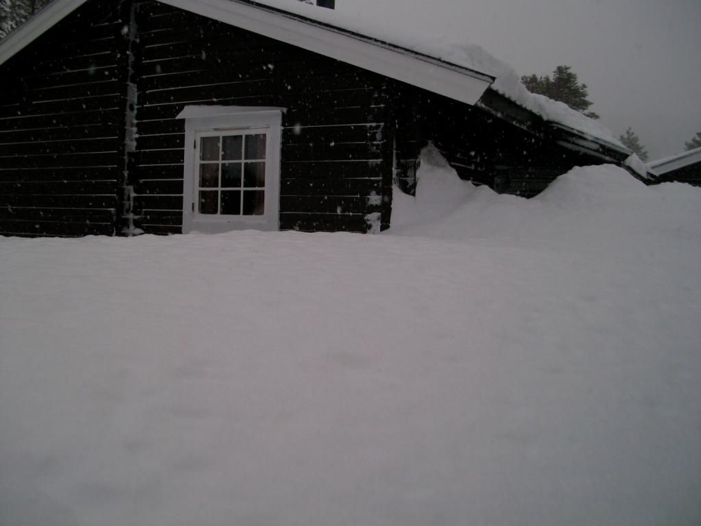  photo 150208 Cabin Snow_zps00et9nux.jpg