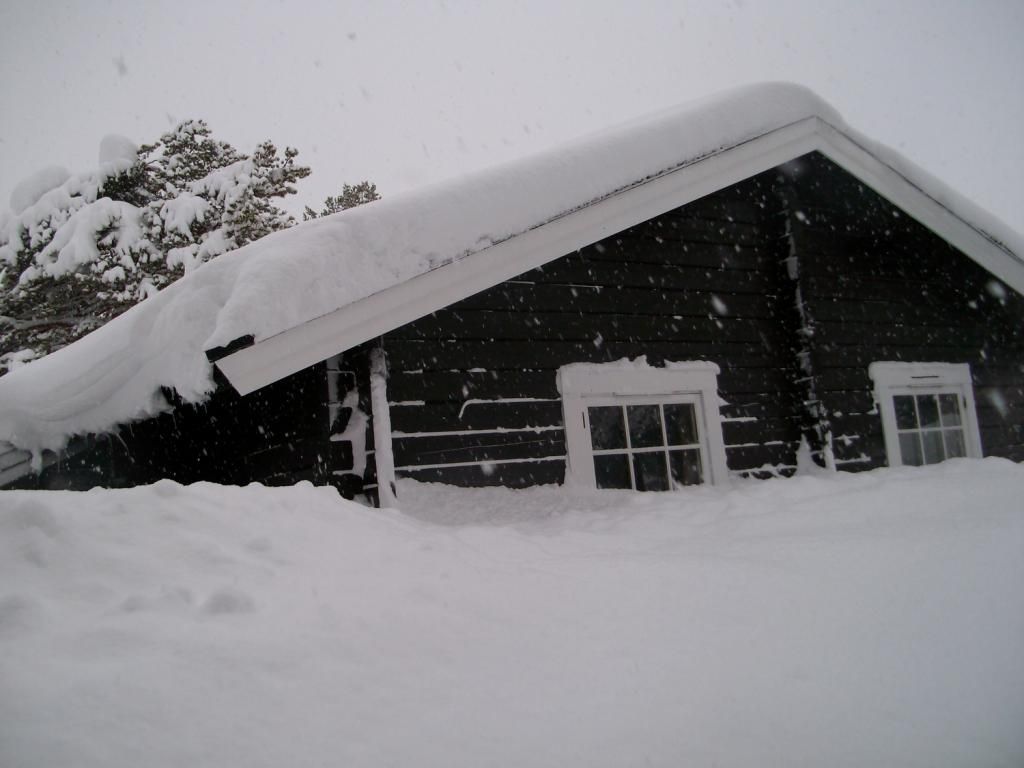  photo 150208 Snowy Cabin_zpsgfrcsprp.jpg