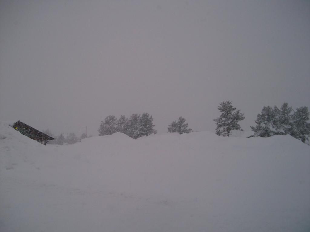  photo Feb Snow - February 2015_zpsfeiwimfu.jpg