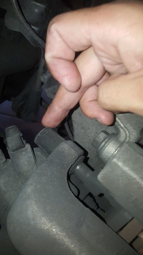 20150923_171351_zpstd1asjq0.jpg~original